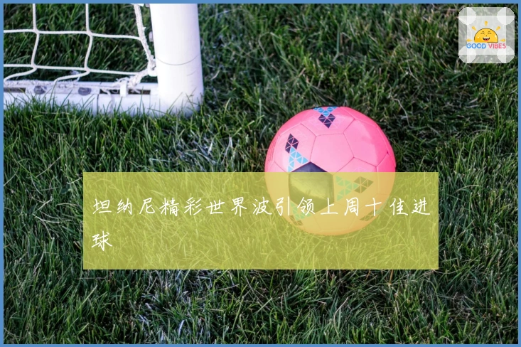 坦纳尼精彩世界波引领上周十佳进球